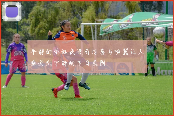 平静的圣诞夜没有惊喜与喧嚣让人感受到宁静的节日氛围