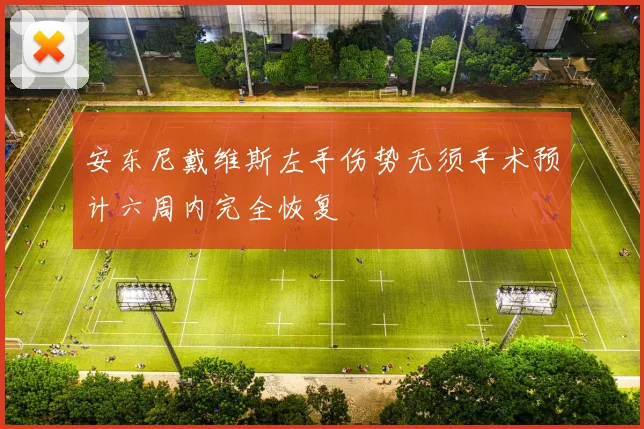 安东尼戴维斯左手伤势无须手术预计六周内完全恢复