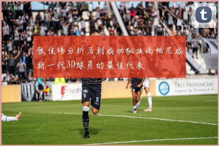 张佳玮分析马刺成功秘诀尚帕尼成新一代3D球员的最佳代表