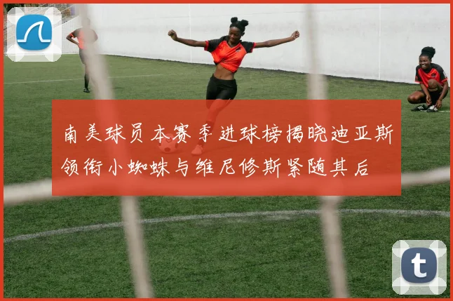 南美球员本赛季进球榜揭晓迪亚斯领衔小蜘蛛与维尼修斯紧随其后