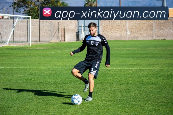 开元体育平台生态图